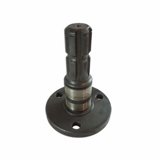 Ax Cardan 01022000 - CAPELLO